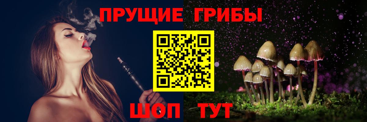Курчалой  Галлюциногенные грибы Cubensis  Вход с VPN 